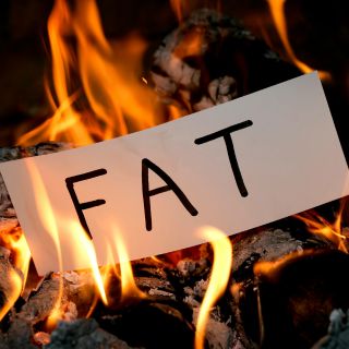 Brûle les graisses et active la lipolyse